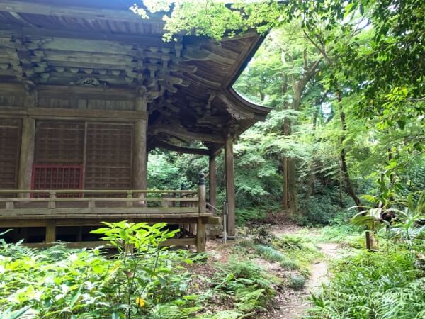 鎌倉　妙法寺　苔寺